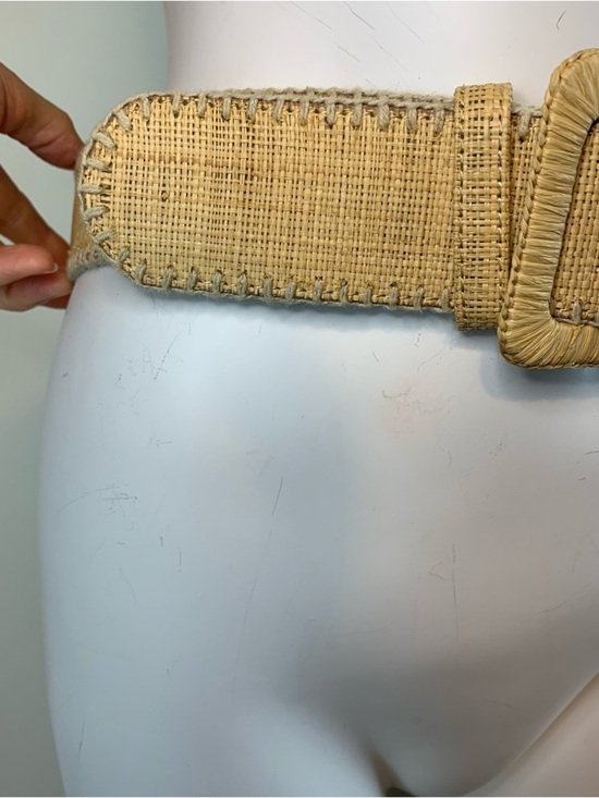 Elie Tahari Woven Wide Belt Beige main image 8